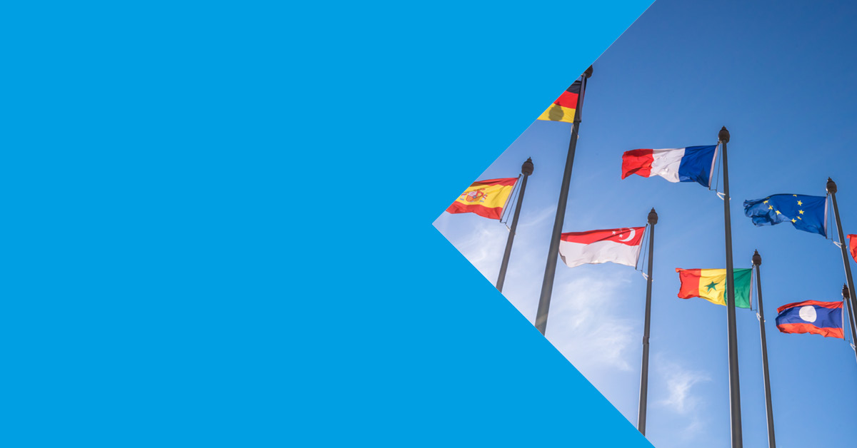 European Transfer Pricing Brief